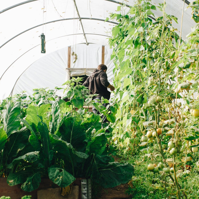 Choosing the Right Greenhouse For You - Grassroots Greenhouses