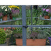 Palram Oasis Hexagonal Greenhouse | 8ft - Grassroots Greenhouses