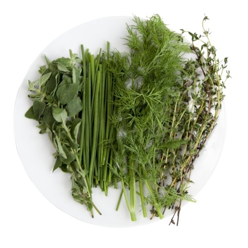Refined Herb Mix | Seed Package - Grassroots Greenhouses