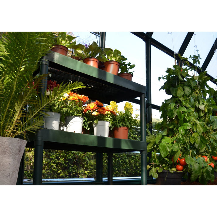 Rion Prestige Greenhouse | 8 x 12 - Grassroots Greenhouses