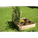 Riverstone Eden Raised Garden Bed With Trellis - Grassroots Greenhouses