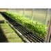 Riverstone Monticello Greenhouse | 8 x 12 - Grassroots Greenhouses