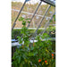 Trellising Kit Pro for Palram & Rion Greenhouses - Grassroots Greenhouses
